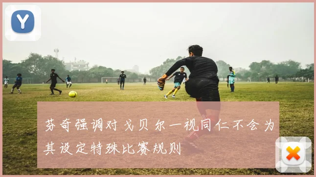 芬奇强调对戈贝尔一视同仁不会为其设定特殊比赛规则