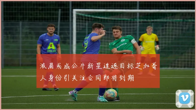浓眉或成公牛新星追逐目标芝加哥人身份引关注合同即将到期