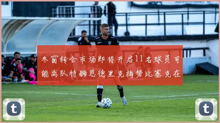 冬窗转会市场即将开启11名球员可能离队特狮恩德里克梅努比塞克在列