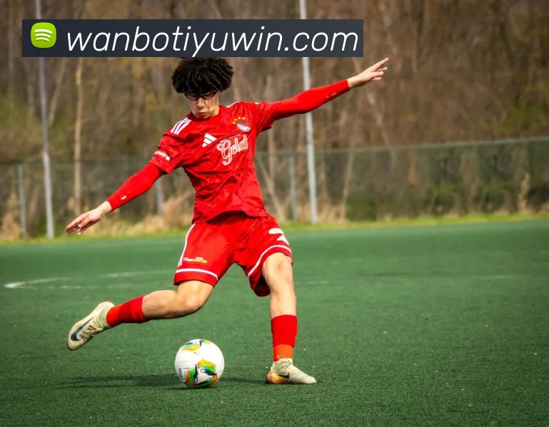 万博体育平台生态图