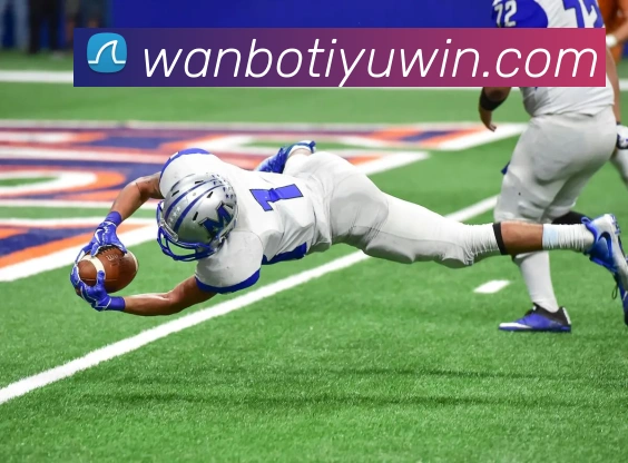 万博体育APP 封面图